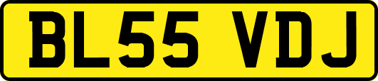 BL55VDJ