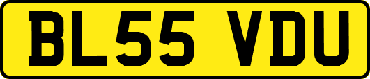 BL55VDU