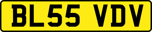 BL55VDV
