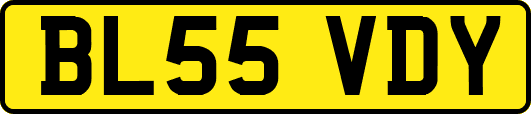 BL55VDY
