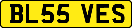 BL55VES