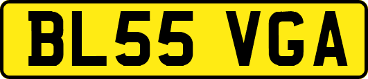 BL55VGA