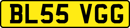 BL55VGG