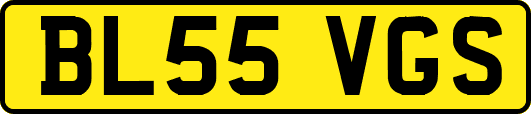 BL55VGS