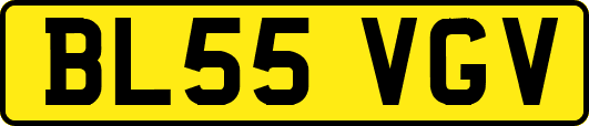 BL55VGV