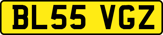 BL55VGZ