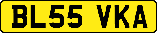 BL55VKA