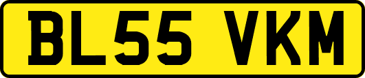 BL55VKM