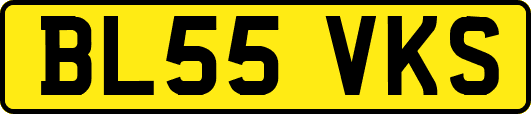 BL55VKS