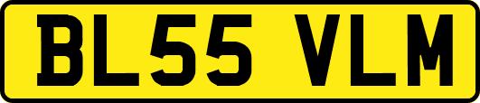 BL55VLM