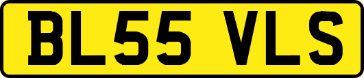 BL55VLS
