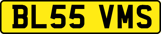 BL55VMS