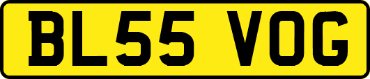 BL55VOG