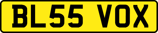BL55VOX