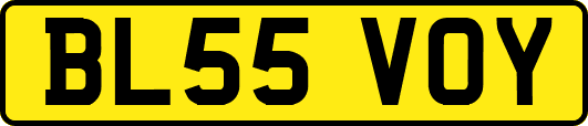 BL55VOY