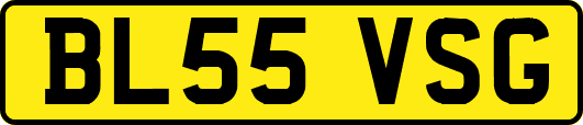 BL55VSG
