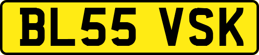 BL55VSK