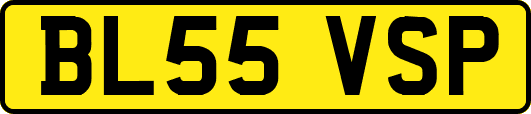 BL55VSP