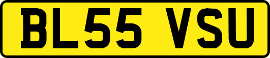 BL55VSU