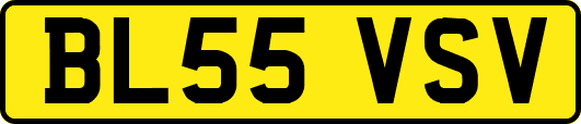 BL55VSV