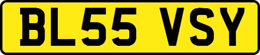 BL55VSY
