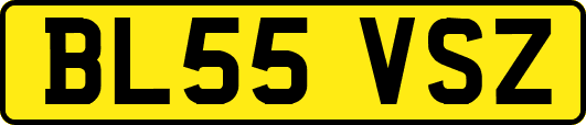BL55VSZ
