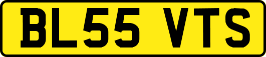 BL55VTS