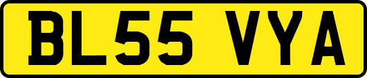 BL55VYA