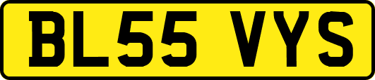 BL55VYS