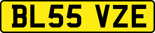 BL55VZE