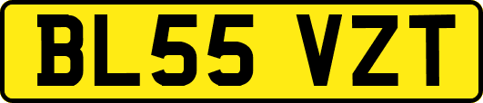 BL55VZT