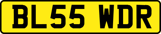 BL55WDR