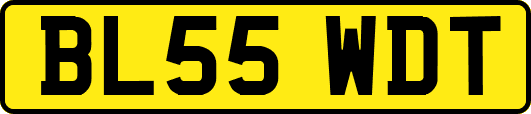 BL55WDT