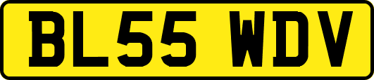 BL55WDV
