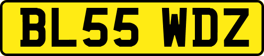 BL55WDZ