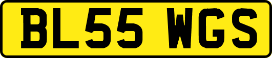 BL55WGS