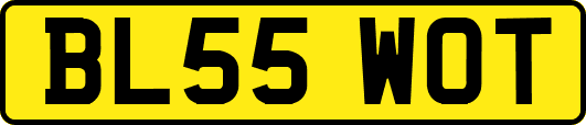 BL55WOT