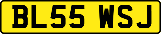 BL55WSJ