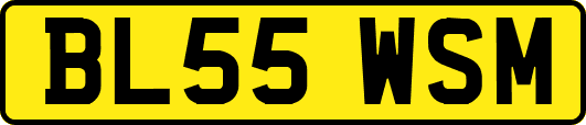 BL55WSM