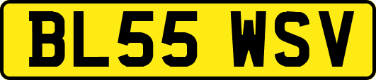 BL55WSV