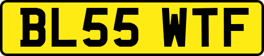 BL55WTF