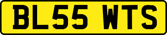 BL55WTS