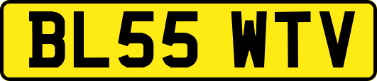 BL55WTV