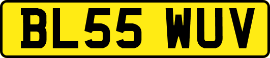 BL55WUV