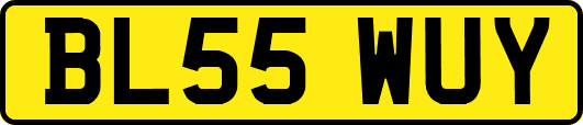 BL55WUY