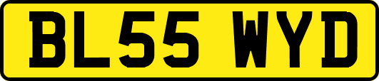 BL55WYD