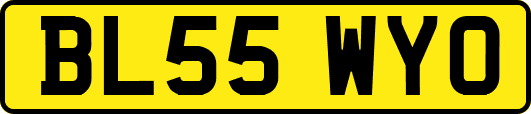 BL55WYO