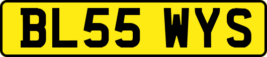 BL55WYS