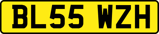 BL55WZH