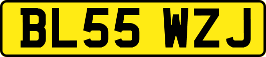 BL55WZJ